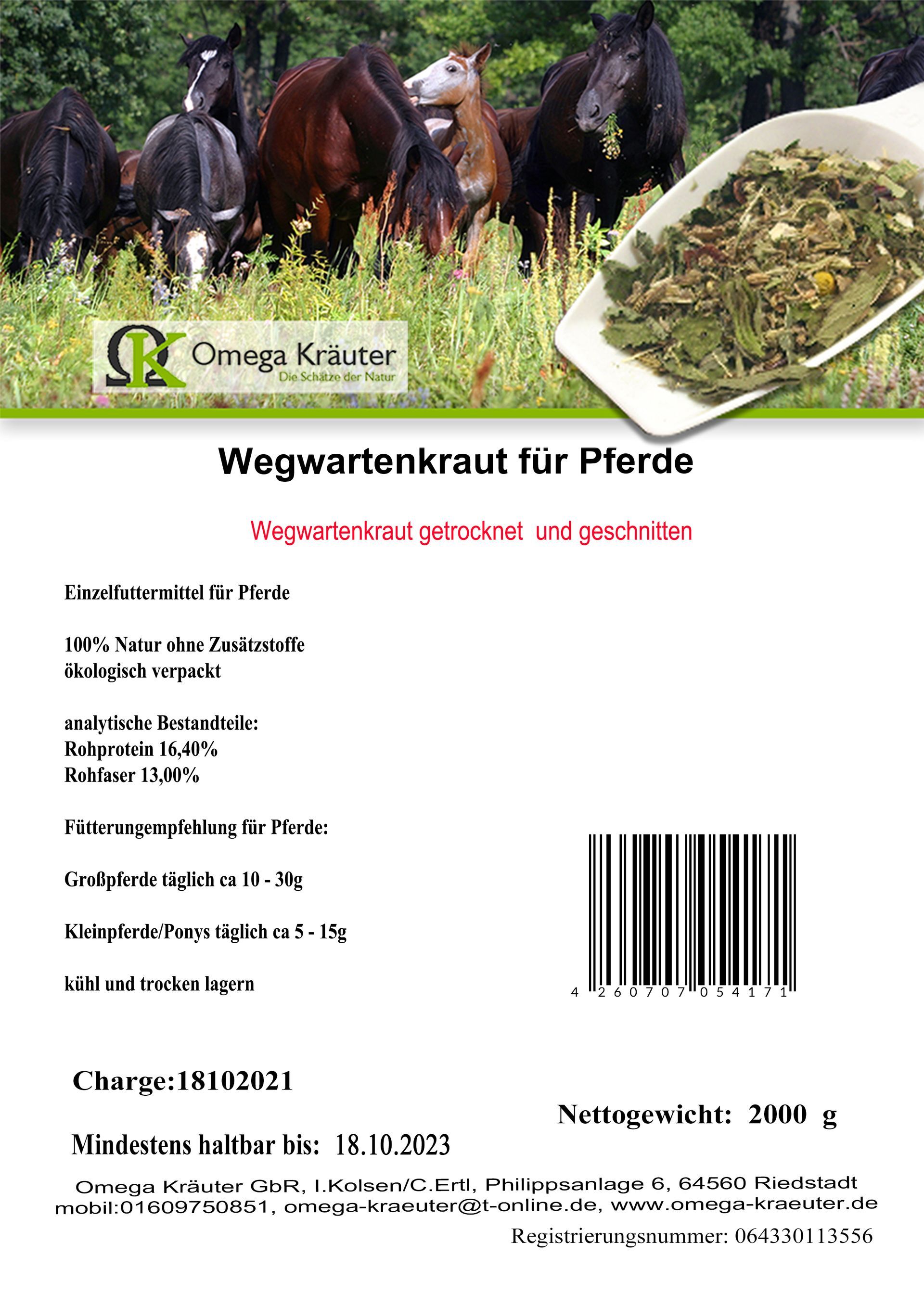 Wegwartenkraut für Pferde