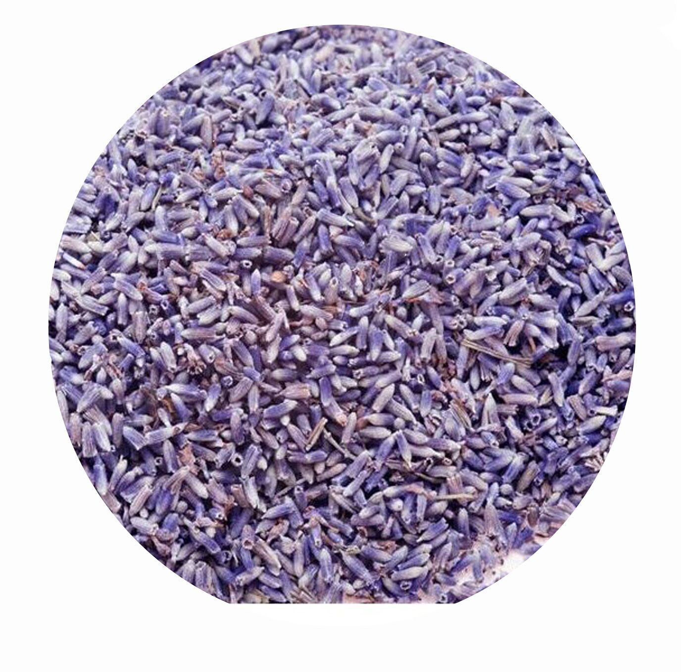 Lavendelblüten für Pferde und Hunde