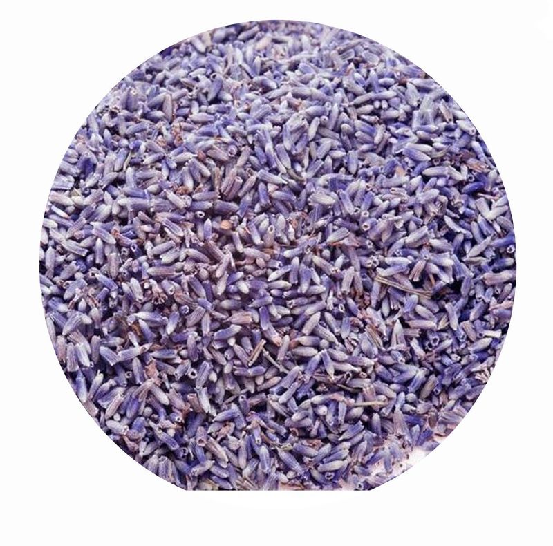 Lavendelblüten für Pferde und Hunde