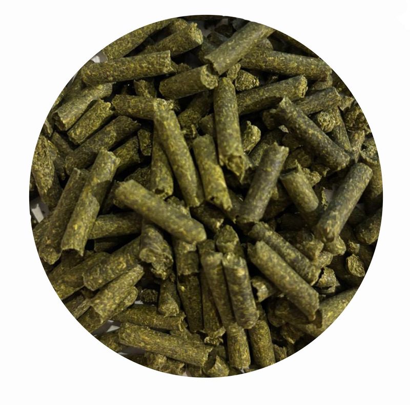 Petersilie-Pellets 4mm für Pferde und Hunde Petersilie-Pellets 4mm für Pferde und Hunde