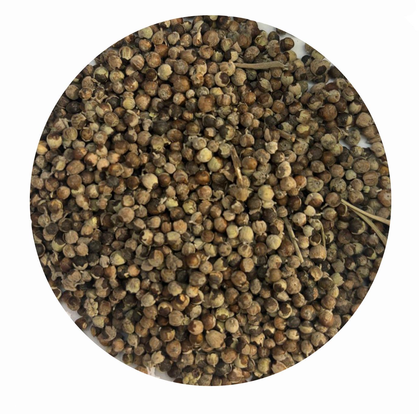 Mönchspfeffer(Keuschlammfrüchte) für Pferde