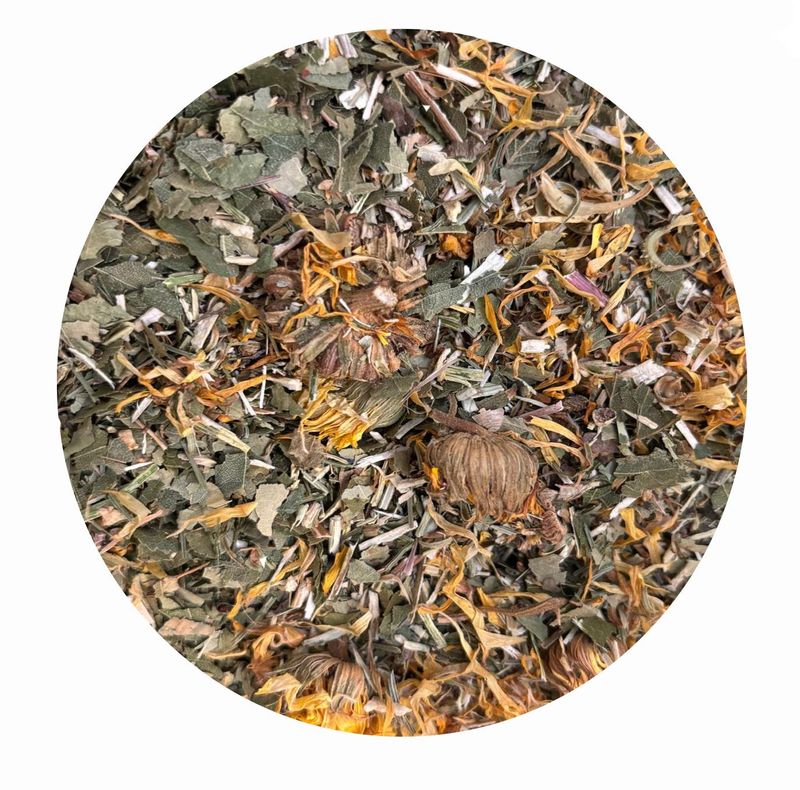 Lymph Box LY 1  für Pferde