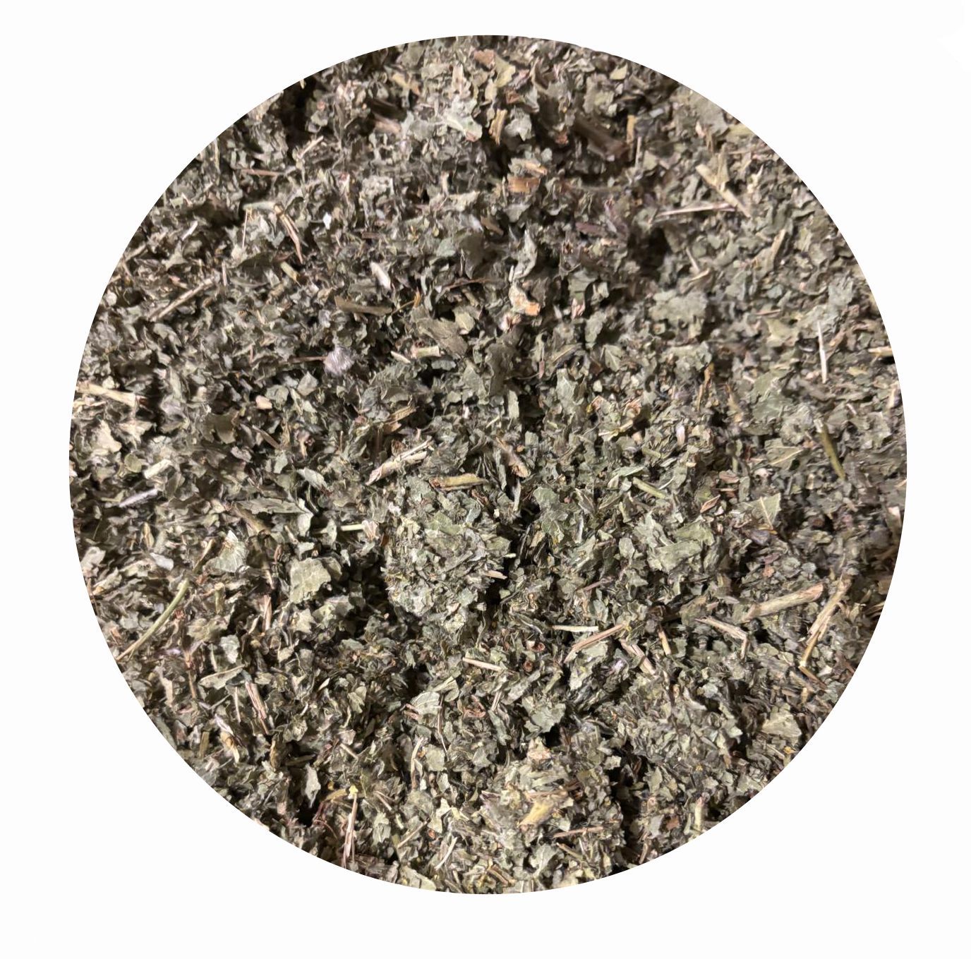 Frauenmantelkraut geschnitten für Pferde und Hunde