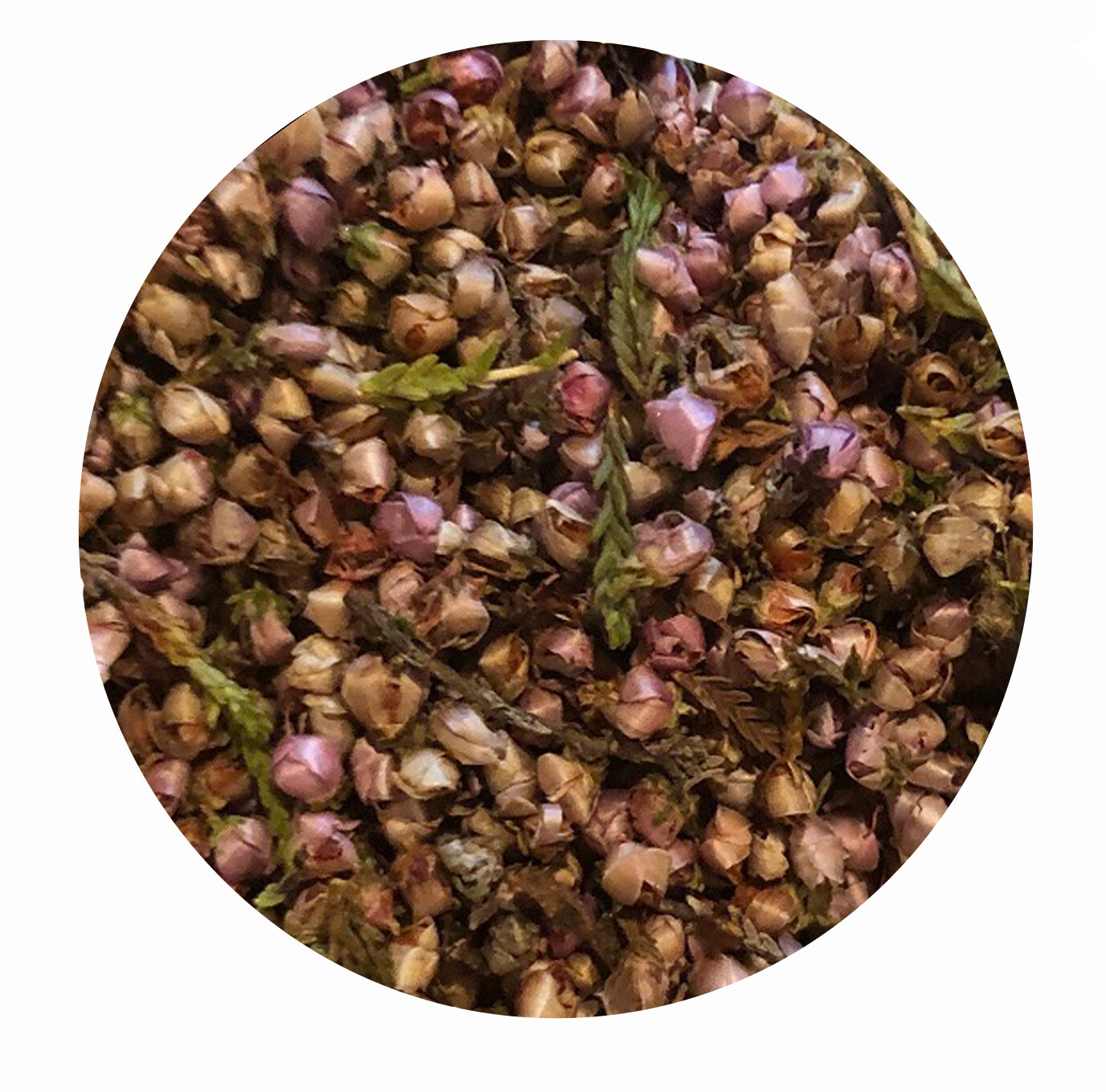 Heidekrautblüten gerebelt für Pferde