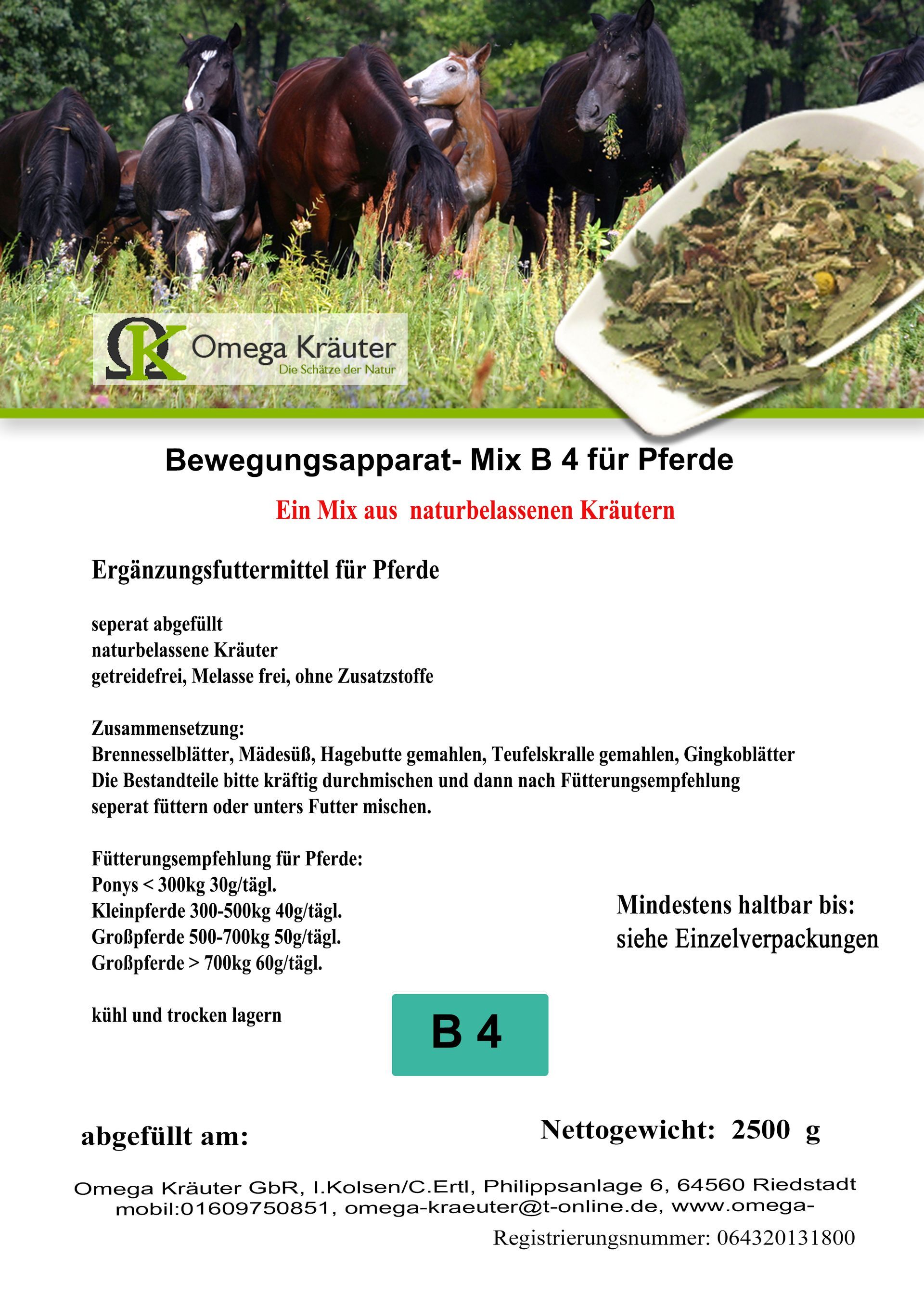 Bewegungsapparat-Box B 4 -  für Pferde