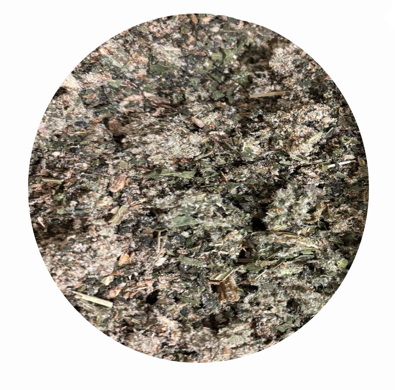 Kotwasser Box K 2 für Pferde