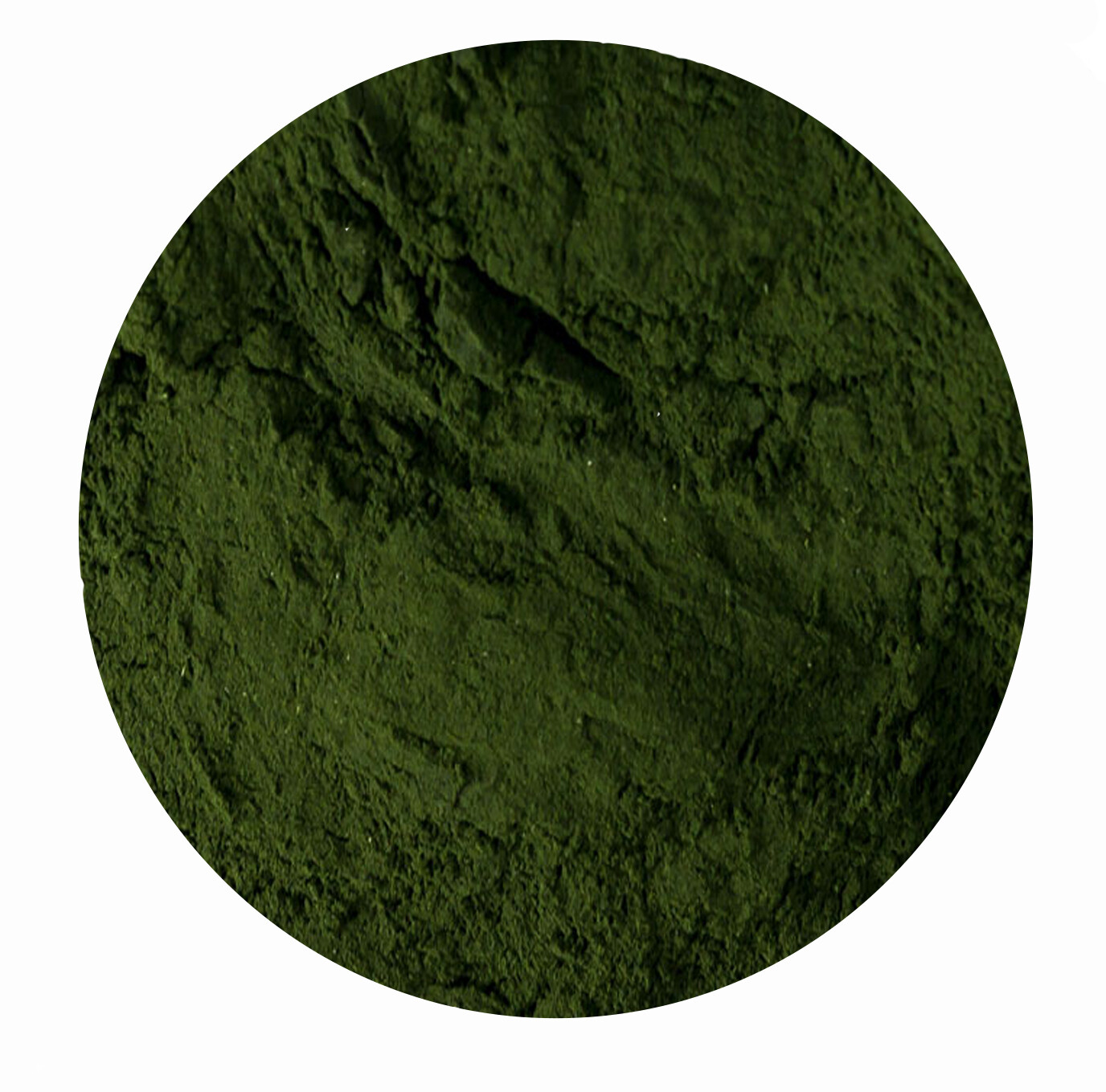 Spirulina Alge gemahlen für Pferde