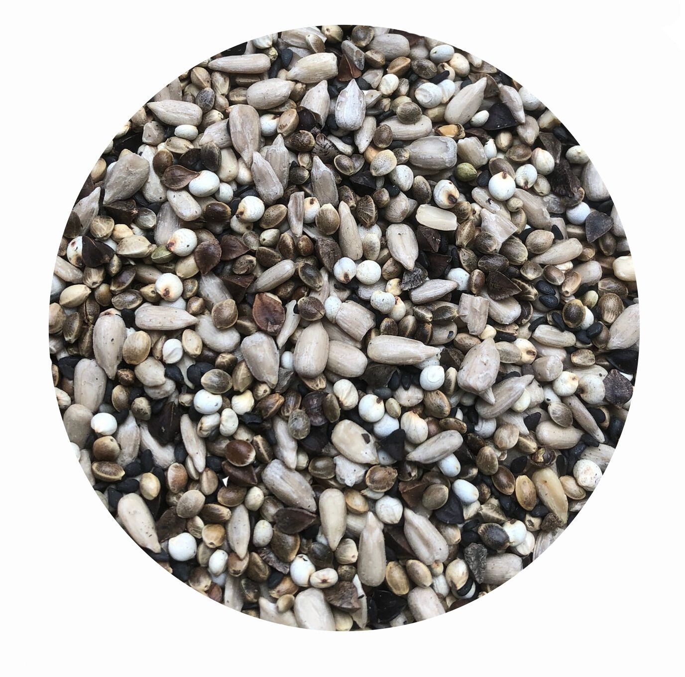 Körnerfutter Box KF 1 für Pferde