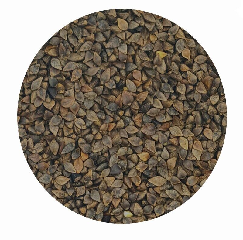 Buchweizen ganz für Pferde