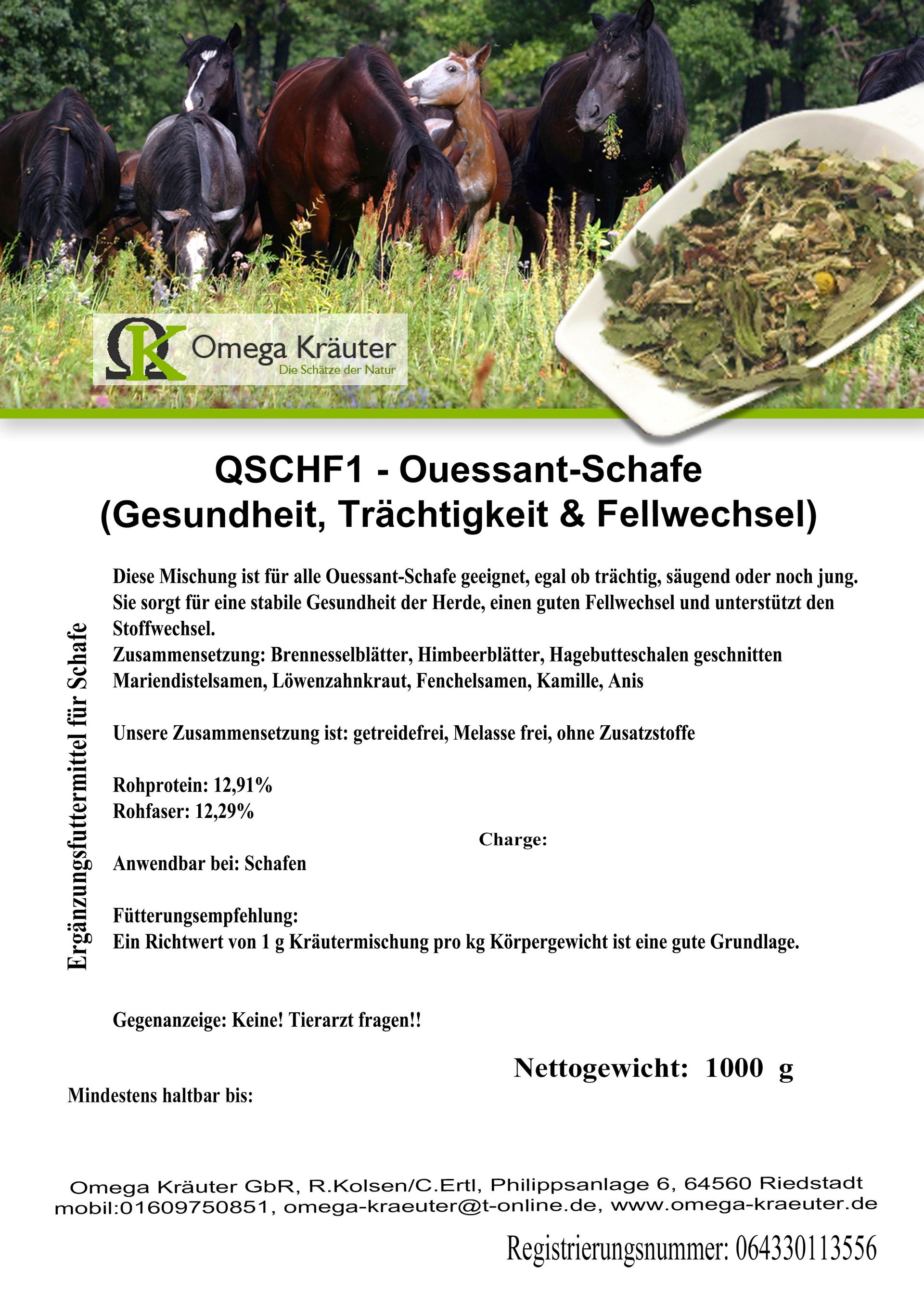 QSCHF1 - Ouessant-Schafe