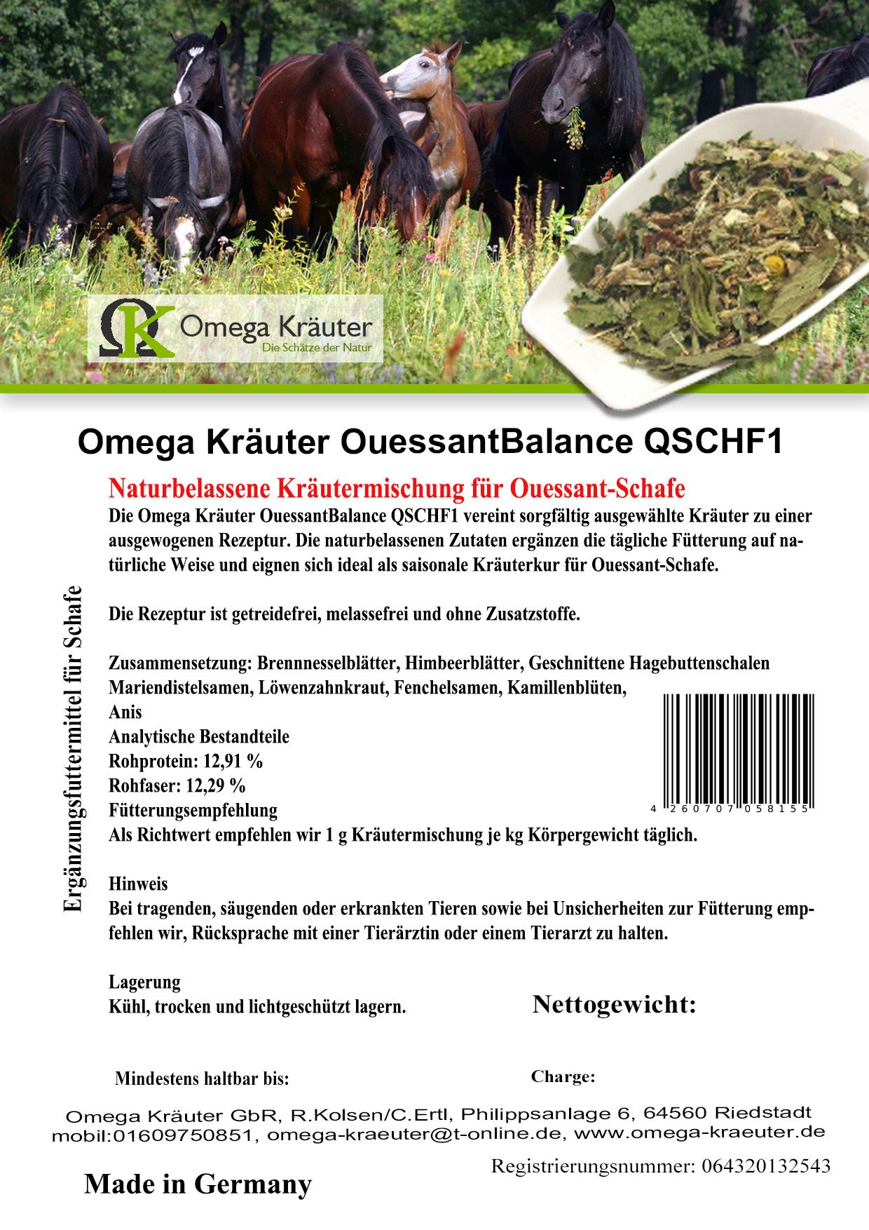 QSCHF1 - Quessant-Schafe