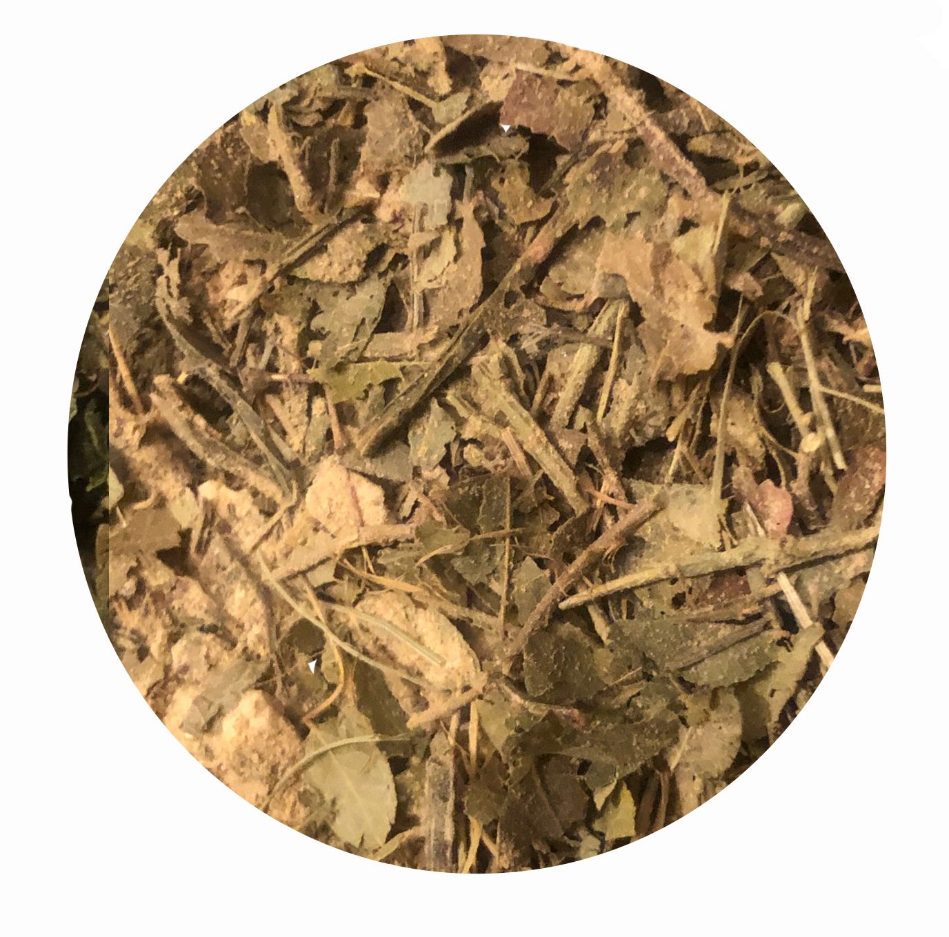 Omega Kräuter - Blutzucker stabil Box EB01 für Pferde