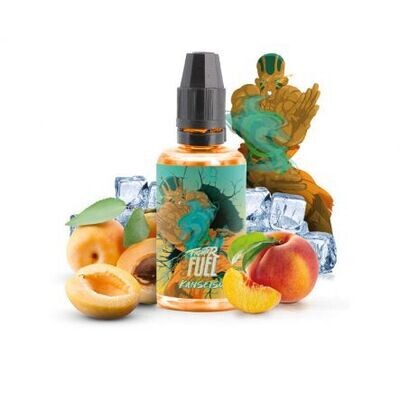 Fighter Fuel by Maison Fuel - Kansetsu 30ml