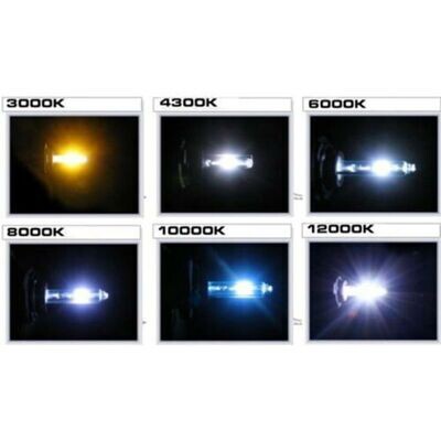 5202 HID HEADLIGHTS