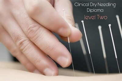 Clinical Dry Needling Diploma-Full program and certification exam