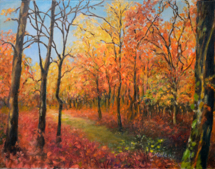 Fine Art Prints | "Fall Trail"