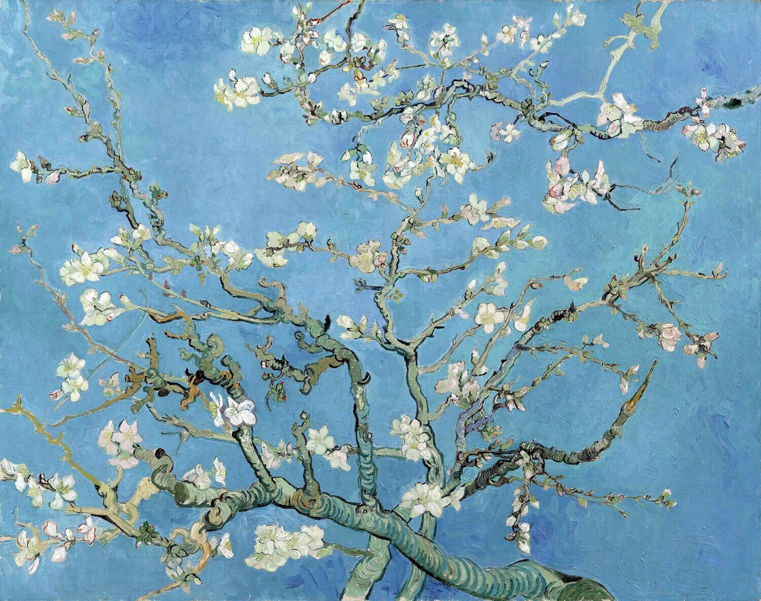 Vincent van Gogh | Almond Blossoms