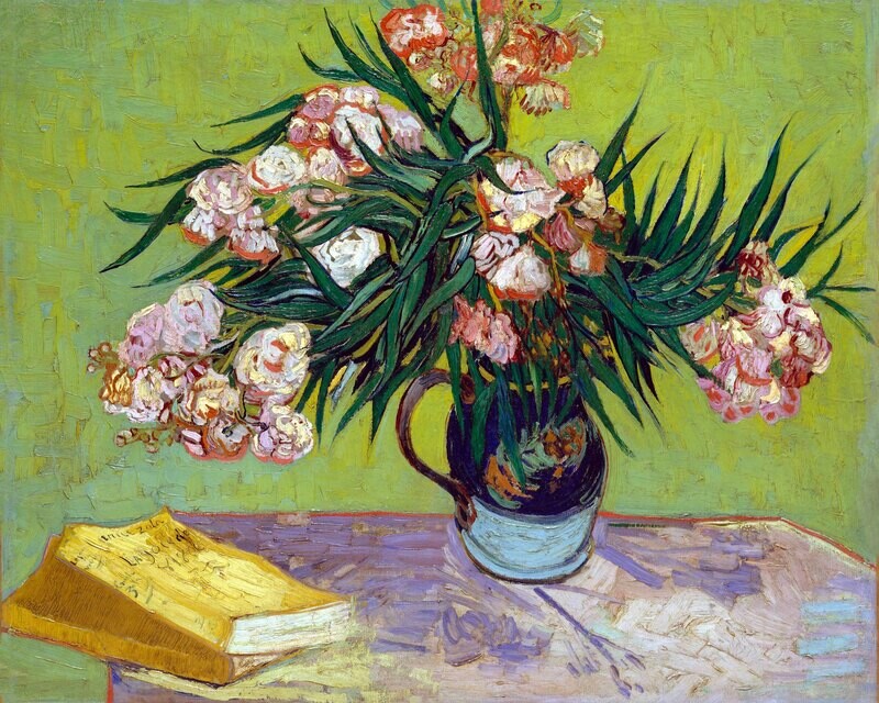 Vincent van Gogh | Oleanders