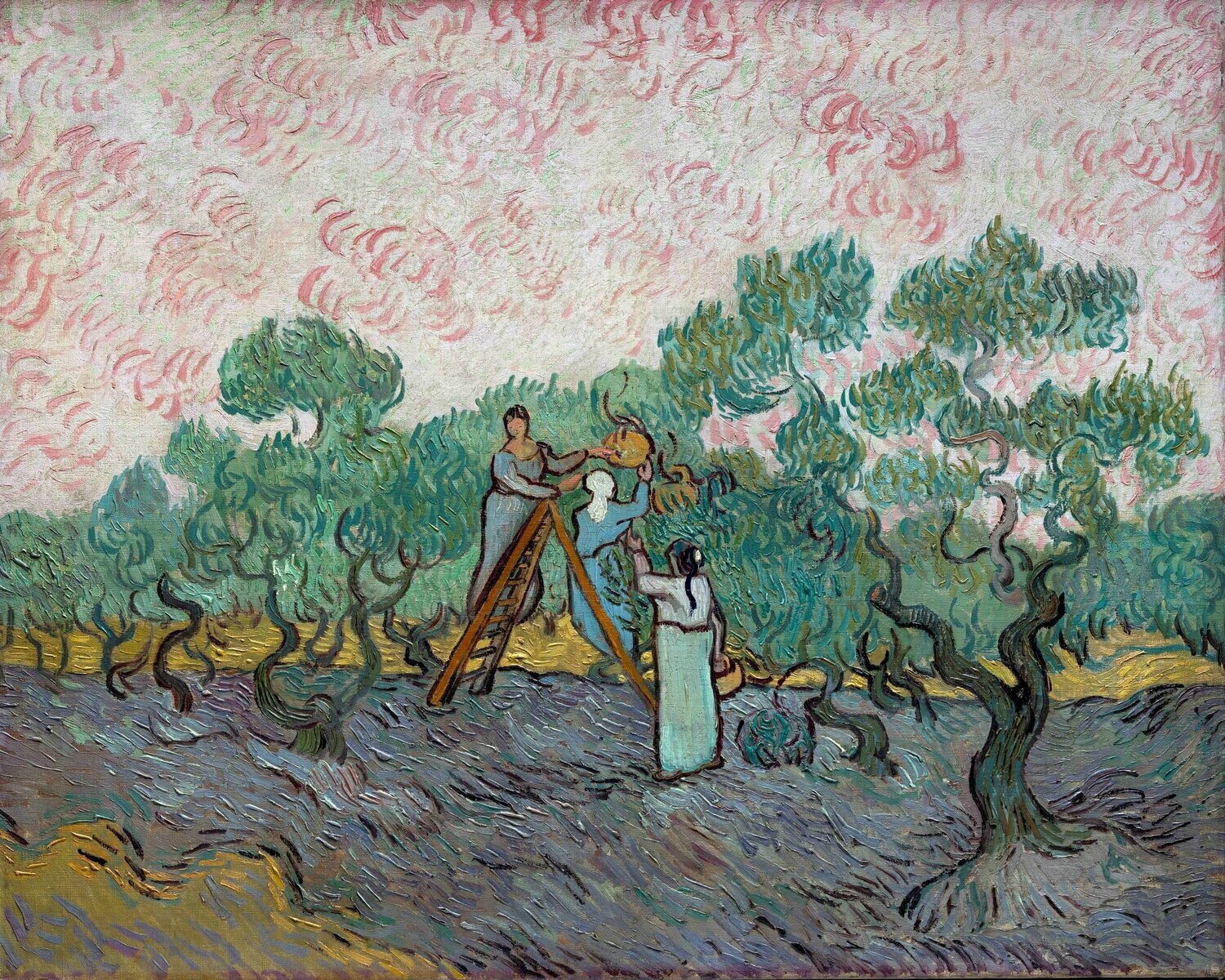 Vincent van Gogh | Women Picking Olives
