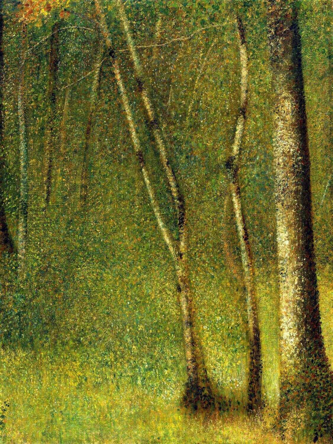 Georges Seurat | The Forest at Pontaubert