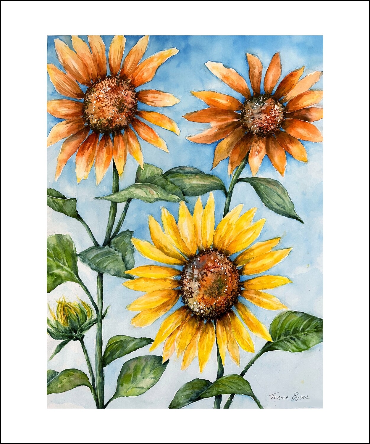 &quot;HAPPY DAYS&quot; by Janice Byrne