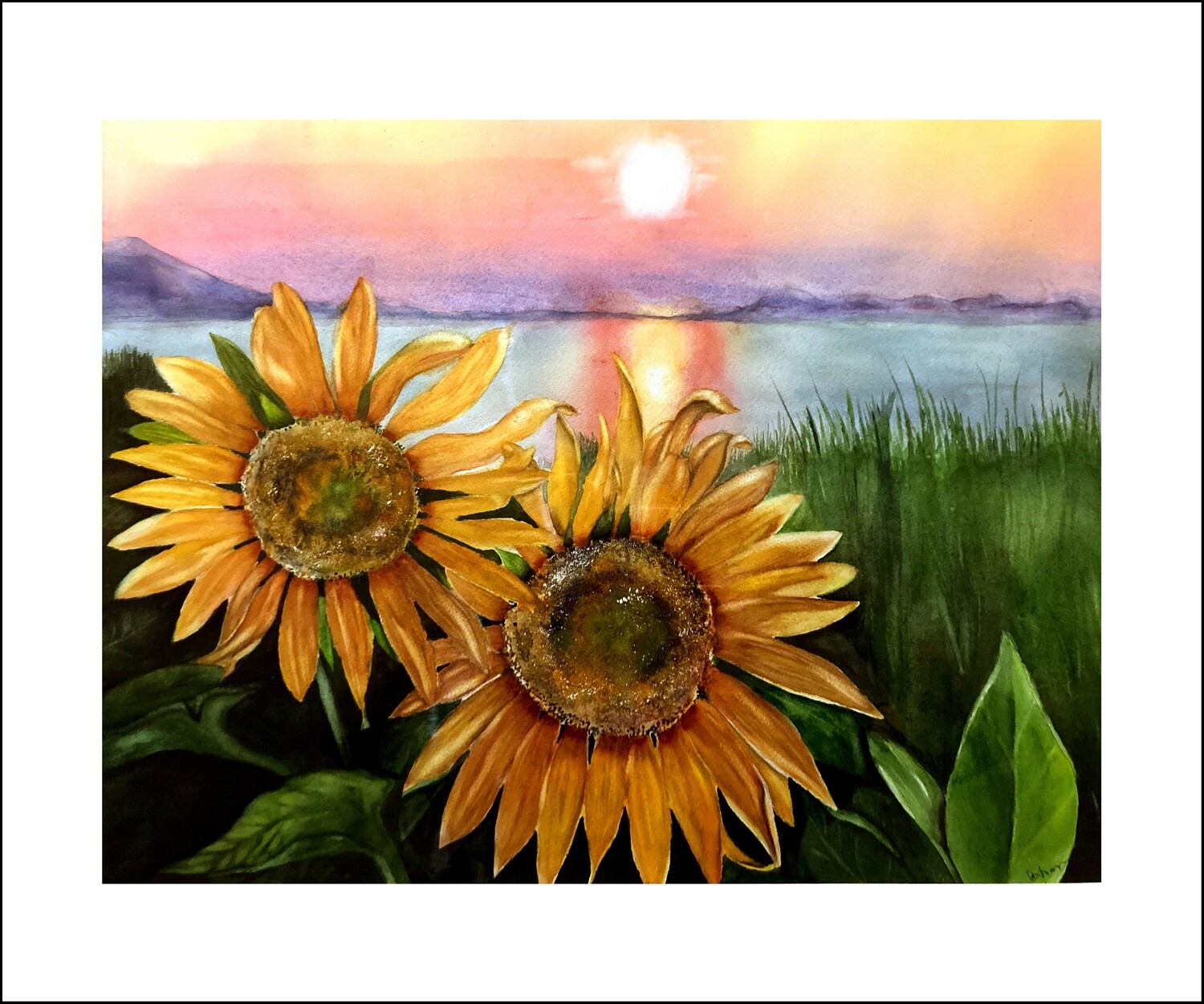 "Sunflowers for Peace" by Cathy Francis