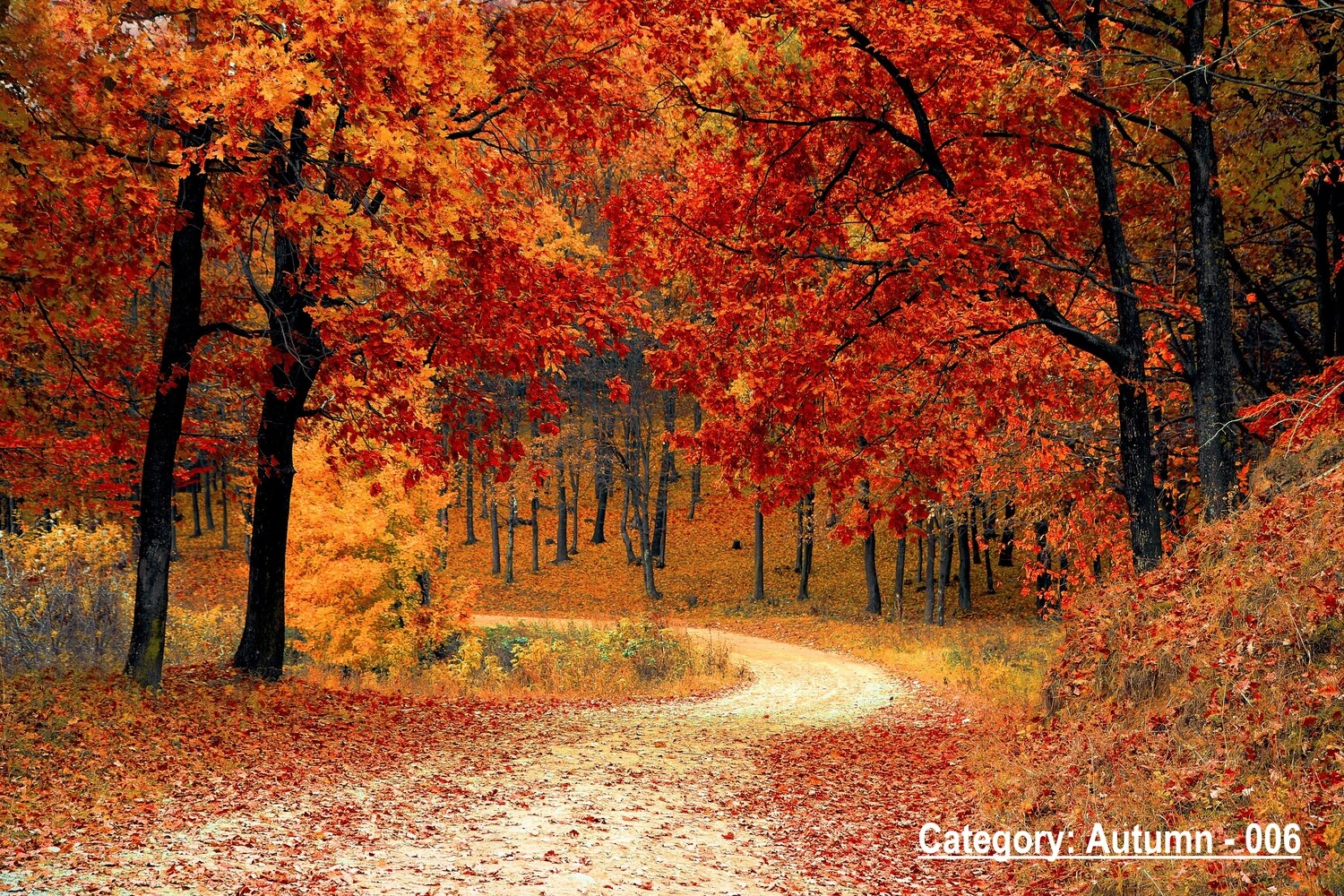Autumn Scenery Images Placemats single or double sided 12 x 18 | Choose from hundreds of stock design images.
