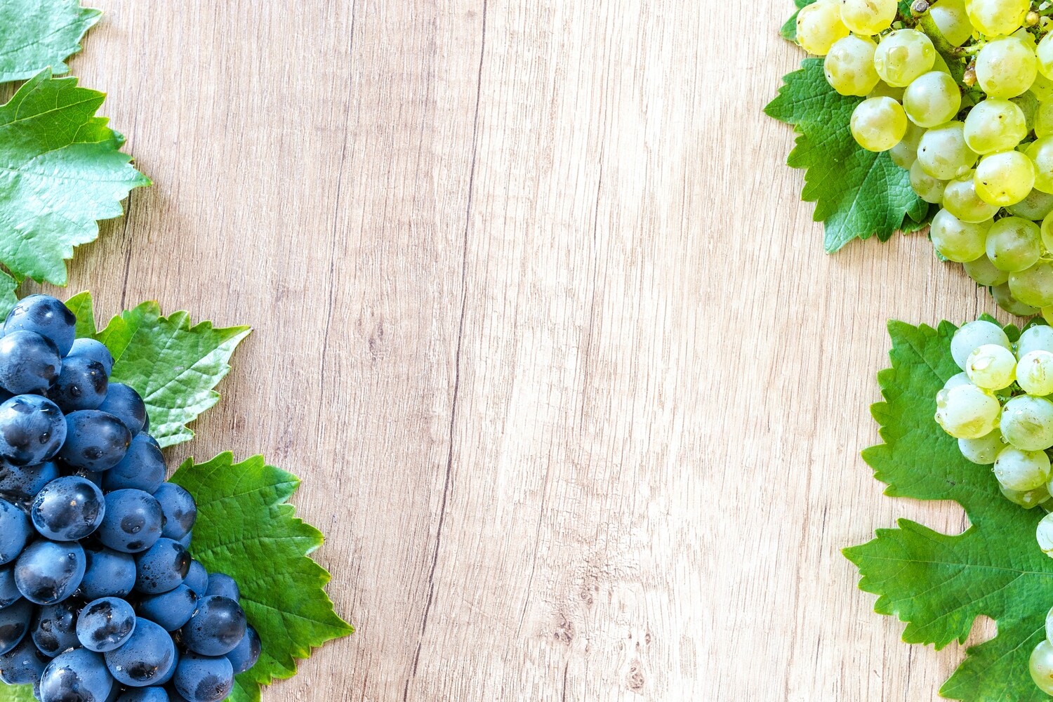 Wine Scenery Placemats single sided 12 x 18