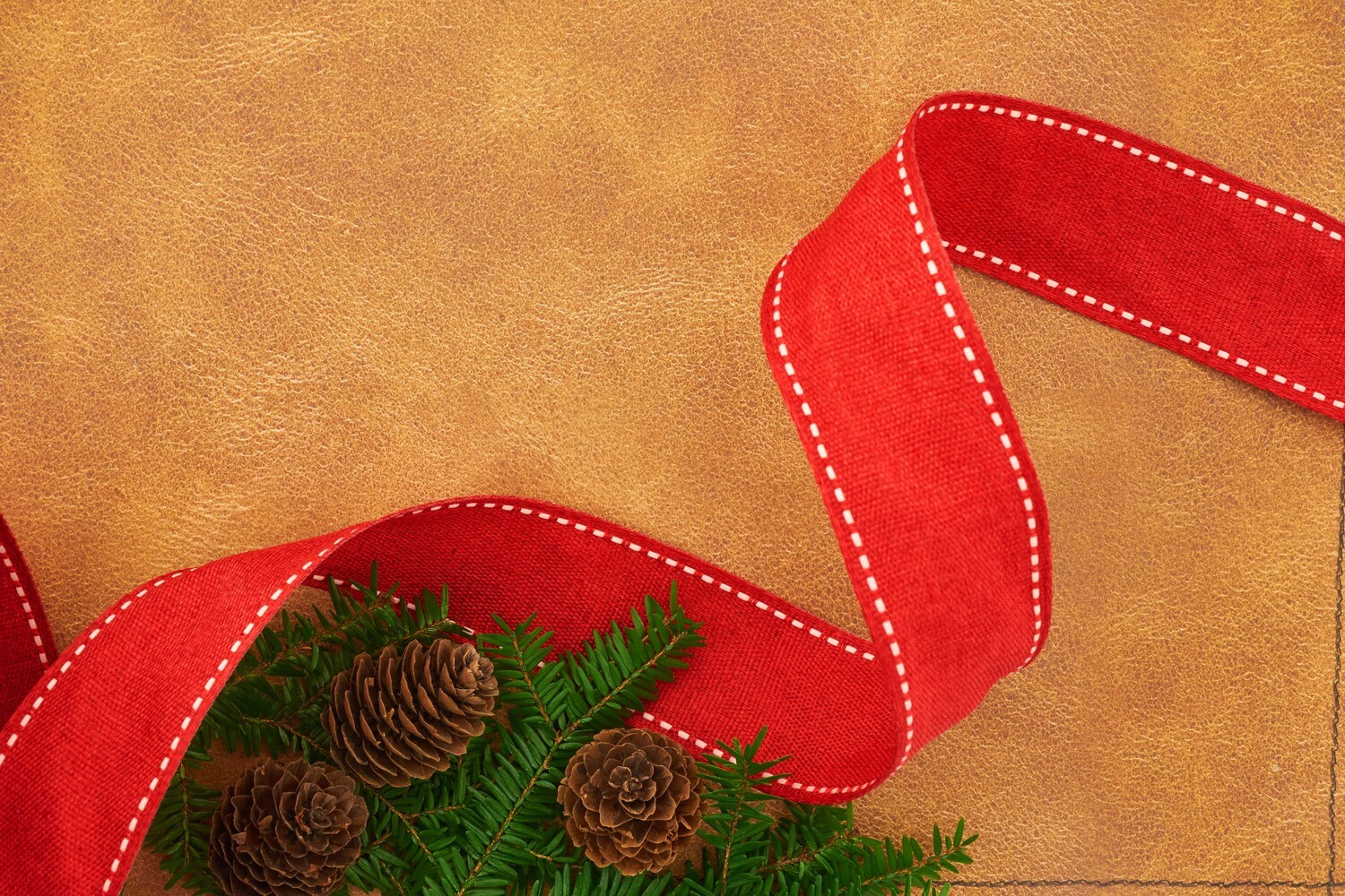 Holiday Scenery Placemats single sided 12 x 18