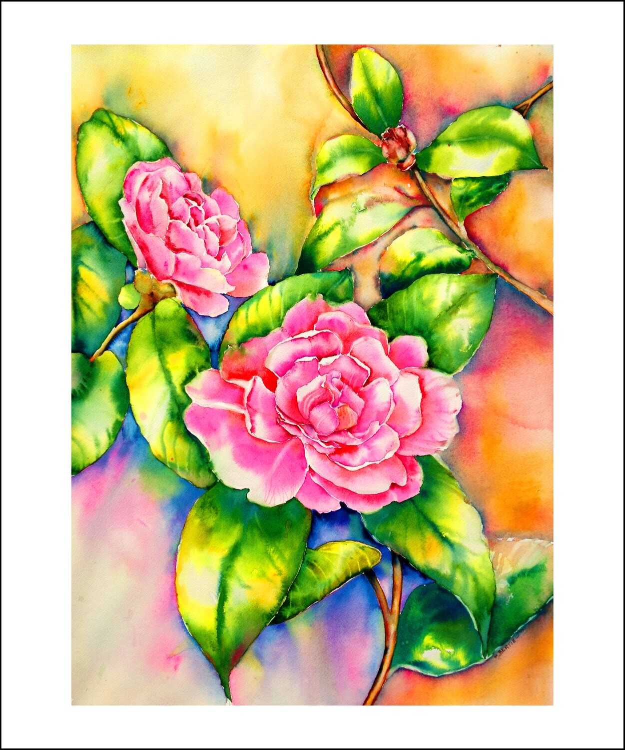 Camellia Japonica - Roberta Erlagen Watercolor Artist