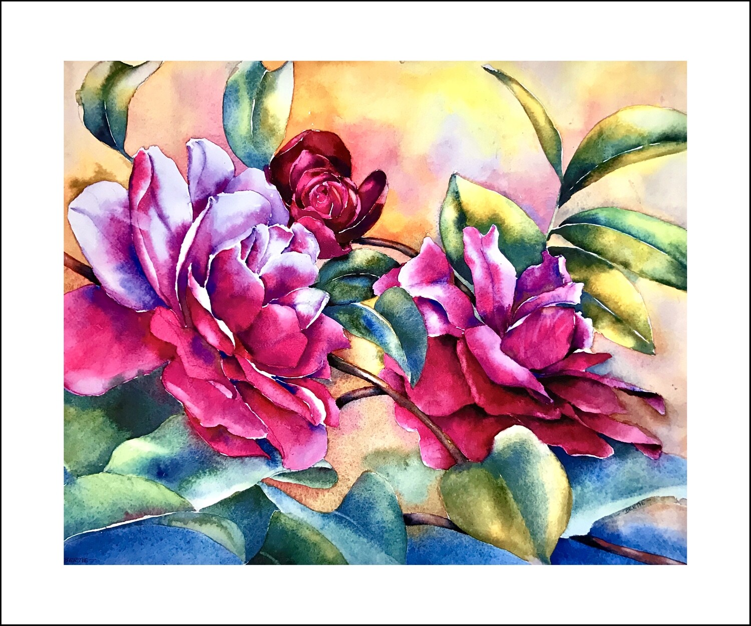 Mandy&#39;s Camellia - Roberta Erlagen Watercolor Artist