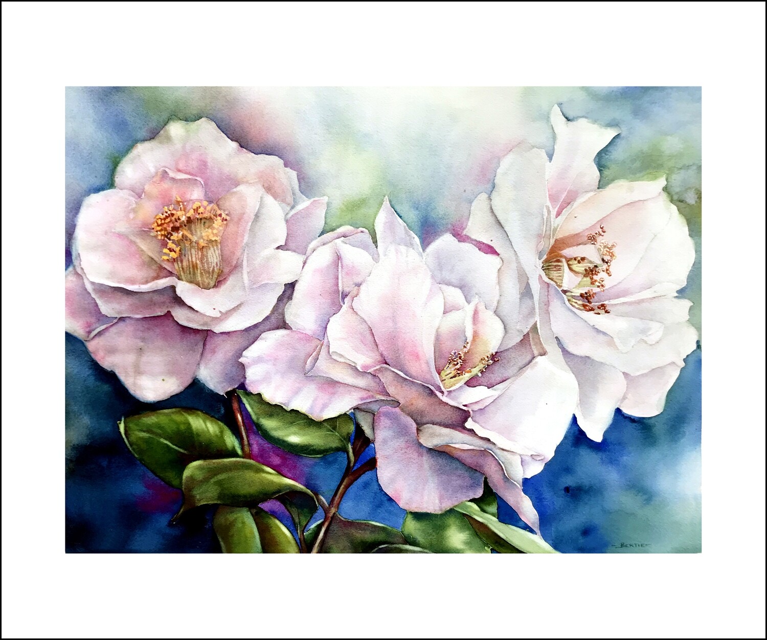 Christie&#39;s Camellia - Roberta Erlagen Watercolor Artist