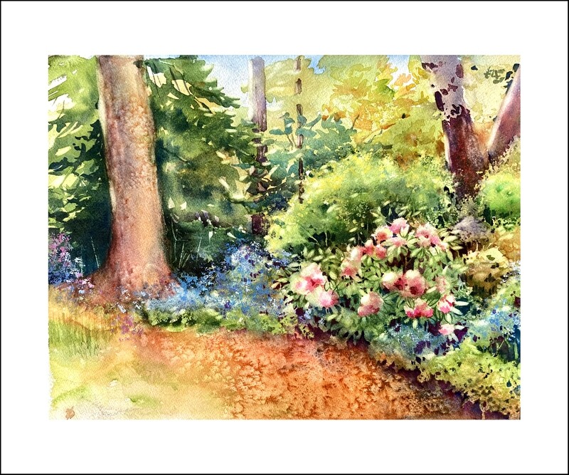 Rhododendron Garden - Paintings of Planting Fields Arboretum
