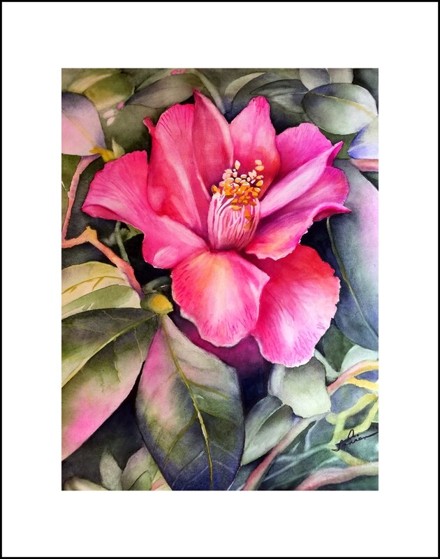 Pink Camellia - Paintings of Planting Fields Arboretum