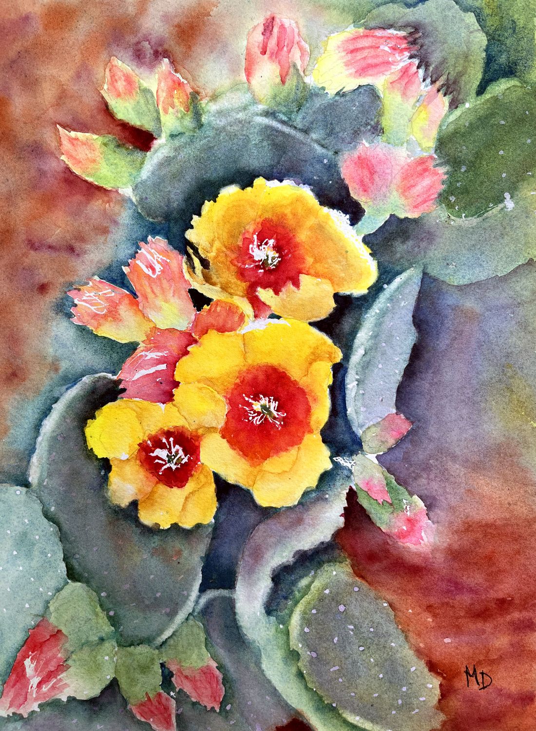 &quot;Cactus Sunshine&quot;