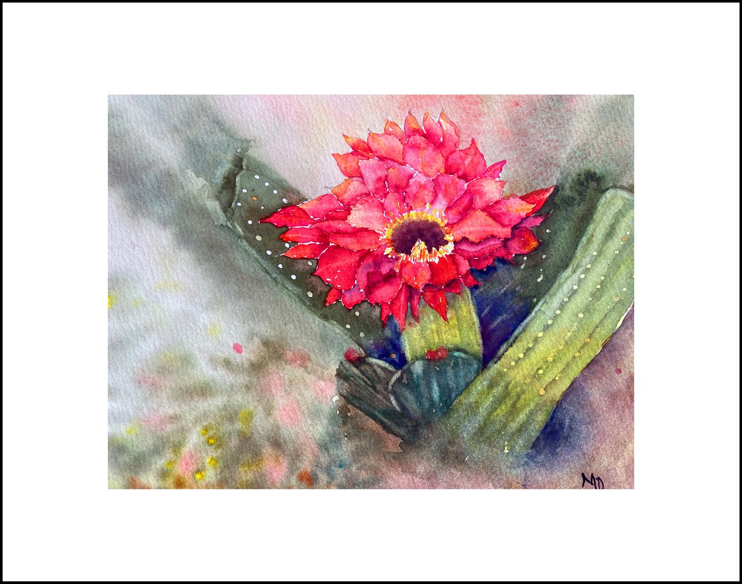 &quot;Sedona Surprise&quot; - Frameable Collection