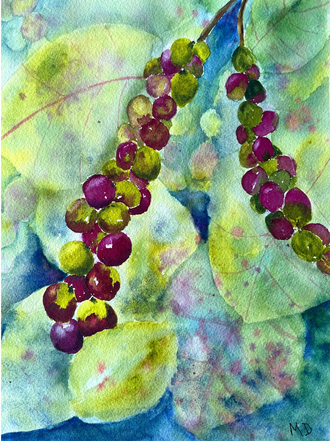 &quot;FantaSea Grapes&quot;