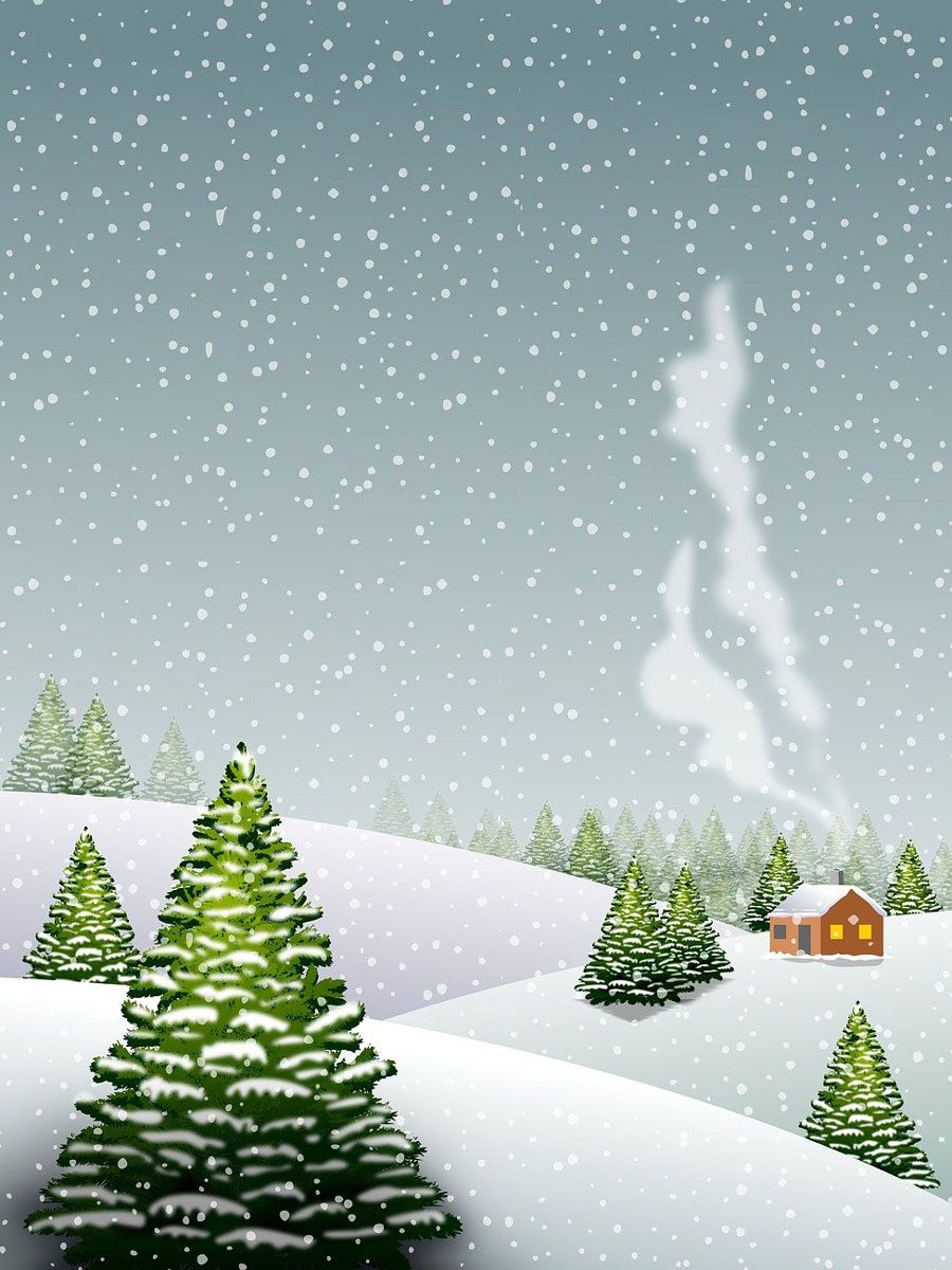Generic &amp; Custom Fold Over Christmas Cards - Vertical Card Style: