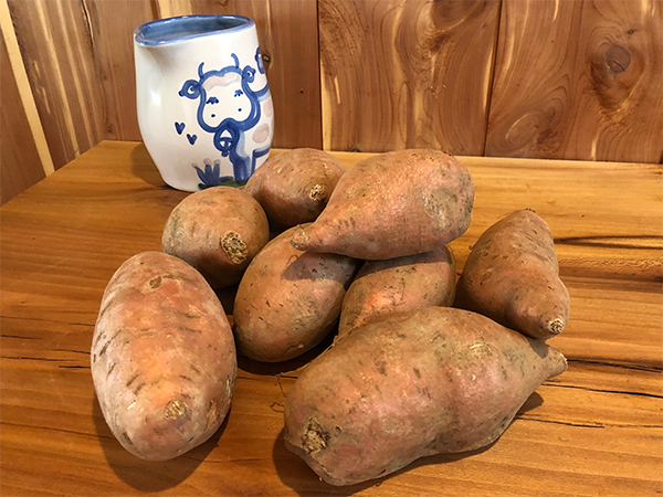 NC Sweet Potato Box 5lb