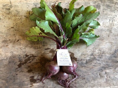 Organic Red Baby Beets Blue Sky Farms 1ct bunch