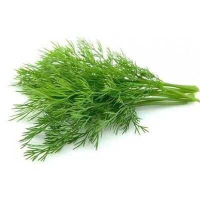 Dill, Fresh 24ct Bunched