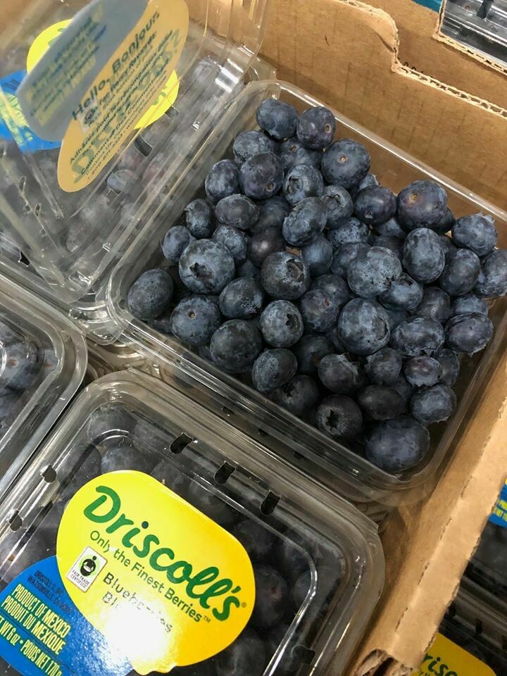 Blueberries, 126oz Driscoll