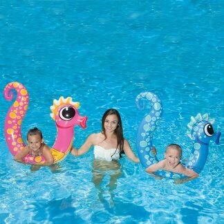 81738 SEAHORSE NOODLE 2PK