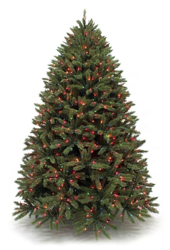 TREE# 18   11021 4.5&#39; FRAZIER FULL