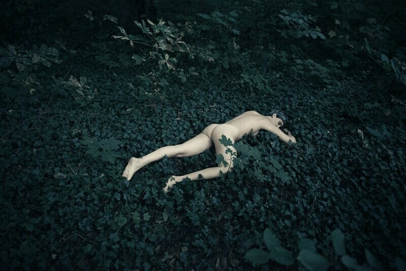 Irene Cruz. Wild I