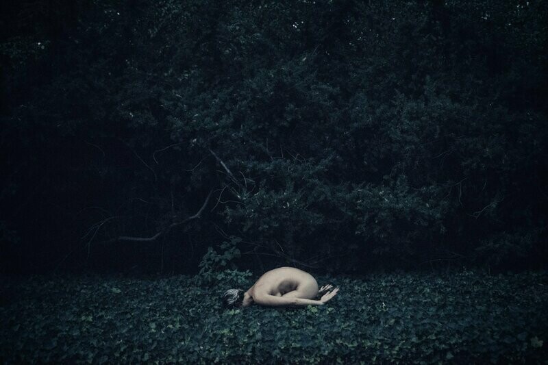 Irene Cruz. Wild II