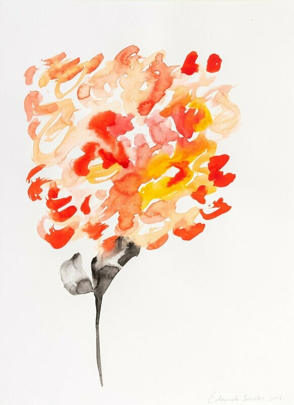 Eduardo Nuca. Hortensia
