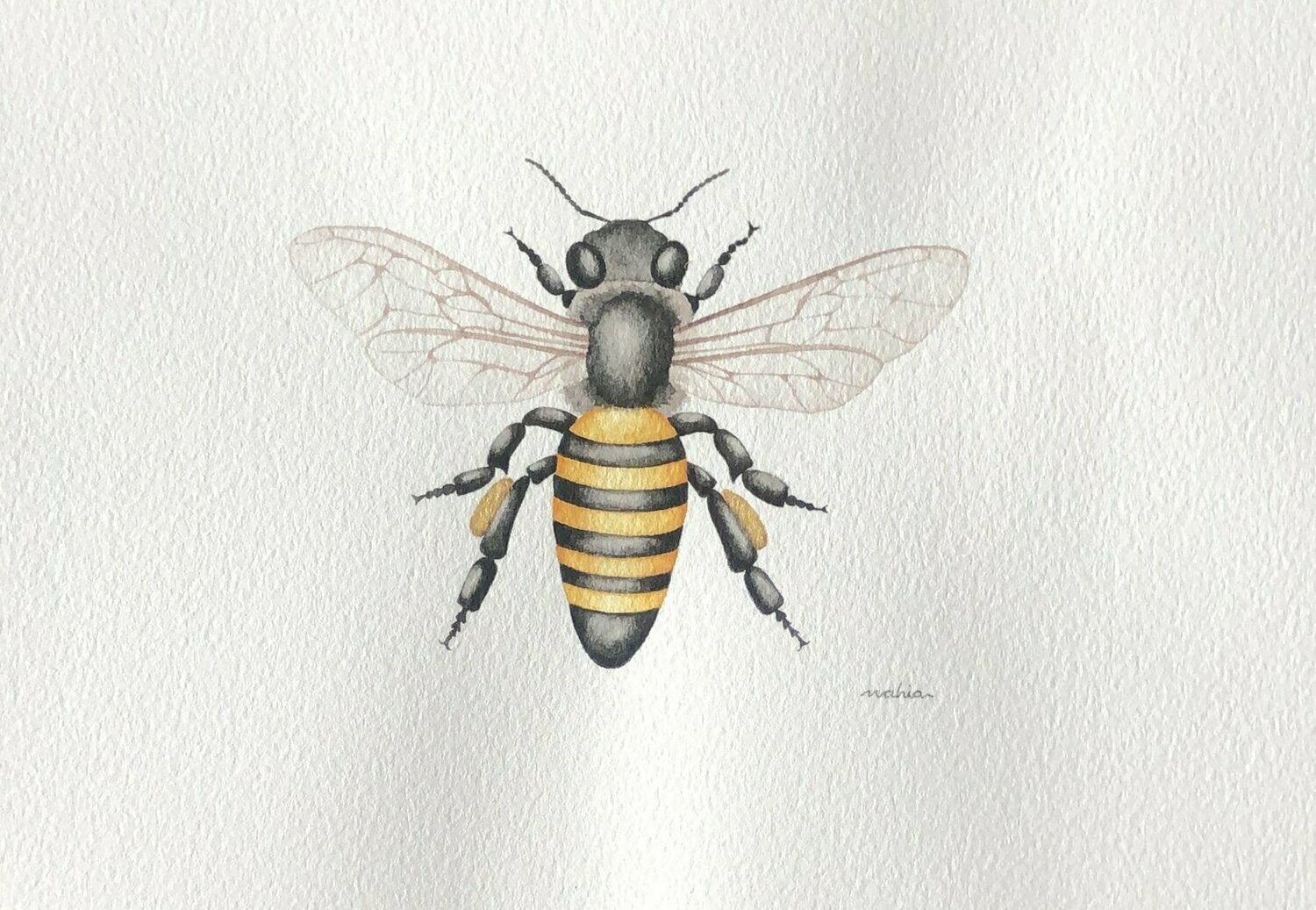 ​Nahia Cohello. Abeja