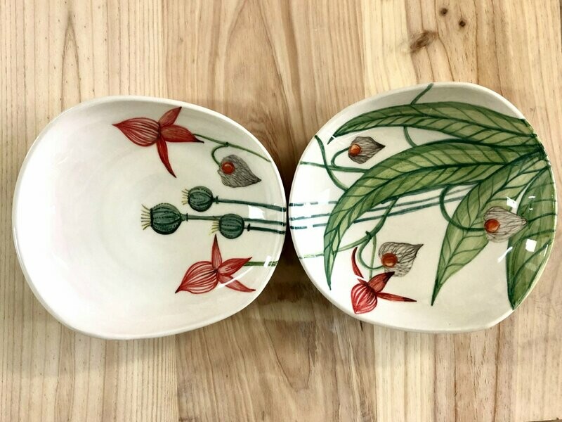 Nuria Blanco. Plantas