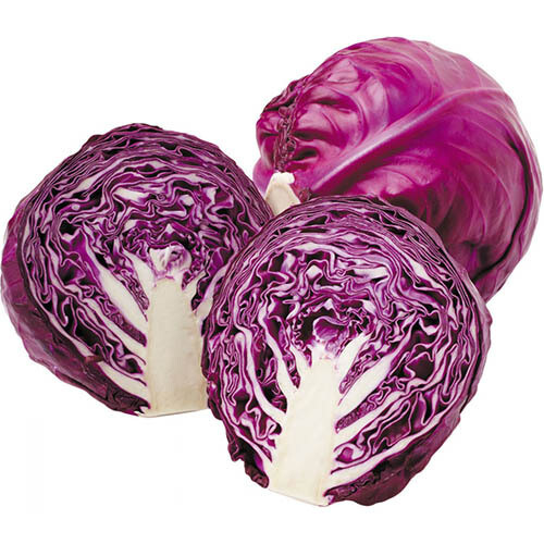 Cabbage, Red  40#